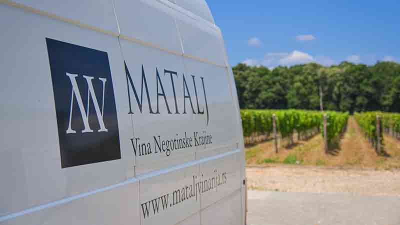Matalj Vinarija  Logo Kombi